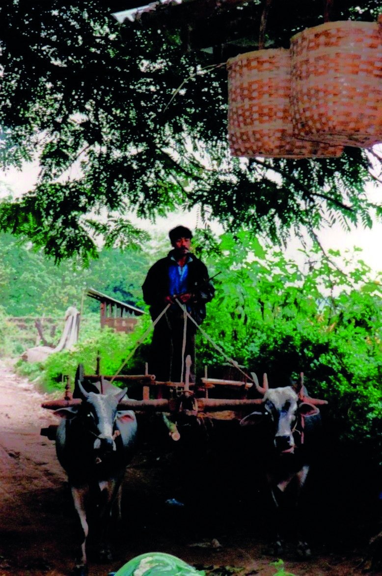 Home from the fields near Mandalay